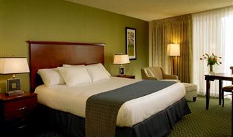 accessible - 1 king, accessible bathroom, shower chair, audible door knocker, flat screen television, desk