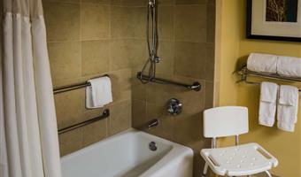 accessible - 1 king, accessible bathroom, shower chair, audible door knocker, flat screen television, desk