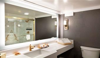1 king bed, non-smoking, refrigerator, walk in shower, wi-fi