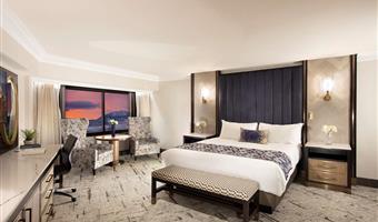 suite-1 king bed, non-smoking, refrigerator, walk in shower, wi-fi