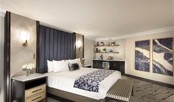 suite-1 king bed, non-smoking, refrigerator, walk in shower, wi-fi
