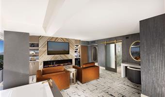 1 king bed, non-smoking, jetted tub, electric fireplace, steam shower, refrigerator
