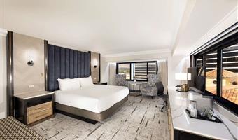 1 king bed, non-smoking, refrigerator, steam shower, walk in shower