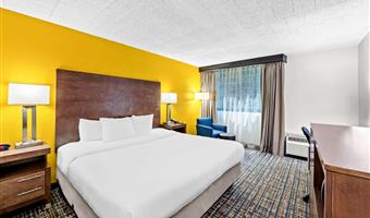 accessible - 1 king, mobility accessible, roll in shower, non-smoking, full breakfast
