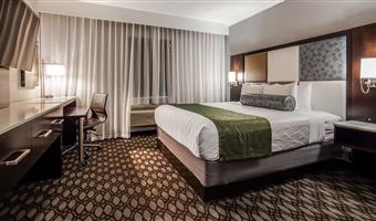 1 king bed, non-smoking, work desk, lounge chair, microwave and refrigerator, wi-fi