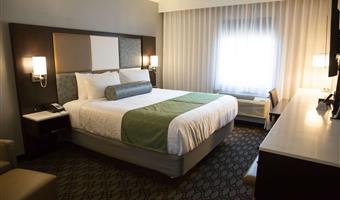 1 king bed, non-smoking, work desk, lounge chair, microwave and refrigerator, wi-fi