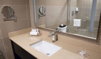 1 king bed, non-smoking, work desk, lounge chair, microwave and refrigerator, wi-fi