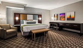 1 king bed, non-smoking, larger room, executive room, work desk, microwave and refrigerator, wi-fi