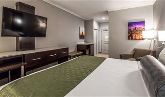 1 king bed, non-smoking, larger room, executive room, work desk, microwave and refrigerator, wi-fi