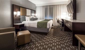 accessible - suite 1 king bed, mobility accessible, roll in shower, sofabed, separate living area, microwave and refrigerator, non-smoking