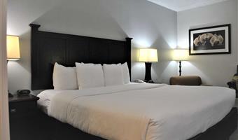 1 king bed, non-smoking, flat screen television, microwave and refrigerator, high speed internet access, full breakfast