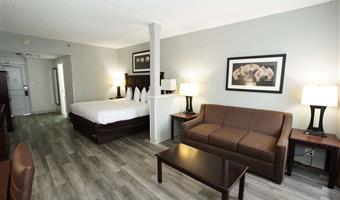 accessible - 1 king, mobility accessible, roll in shower, microwave and refrigerator, non-smoking, full breakfast
