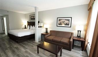accessible - 1 king, mobility accessible, roll in shower, microwave and refrigerator, non-smoking, full breakfast