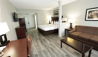 accessible - 1 king, mobility accessible, roll in shower, microwave and refrigerator, non-smoking, full breakfast
