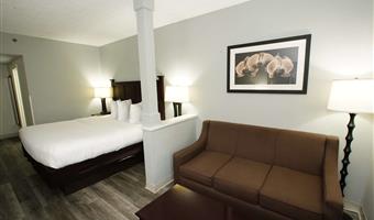 accessible - suite queen bed, mobility accessible, roll in shower, separate bedroom, sofabed, microwave and refrigerator, non-smoking, full breakfast