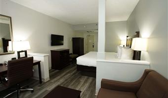 accessible - suite queen bed, mobility accessible, roll in shower, separate bedroom, sofabed, microwave and refrigerator, non-smoking, full breakfast