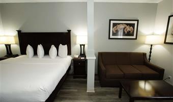 accessible - suite queen bed, mobility accessible, roll in shower, separate bedroom, sofabed, microwave and refrigerator, non-smoking, full breakfast