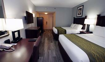 2 queen beds, non-smoking, flat screen television, microwave and refrigerator, high speed internet access, full breakfast