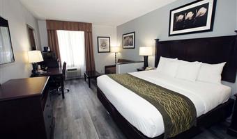 1 king bed, non-smoking, two person whirlpool, flat screen television, microwave and refrigerator, full breakfast