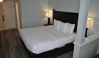 suite-1 king bed, non-smoking, sofabed, flat screen television, high speed internet access, microwave and refrigerator, full breakfast