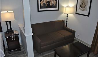 suite-1 king bed, non-smoking, larger room, sofabed, flat screen television, microwave and refrigerator, full breakfast