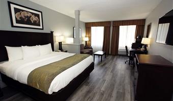 suite-1 king bed, non-smoking, larger room, sofabed, flat screen television, microwave and refrigerator, full breakfast