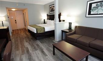 suite-1 king bed, non-smoking, larger room, sofabed, flat screen television, microwave and refrigerator, full breakfast