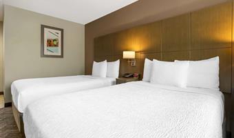 2 double beds, non-smoking, high speed internet access, refrigerator, full breakfast