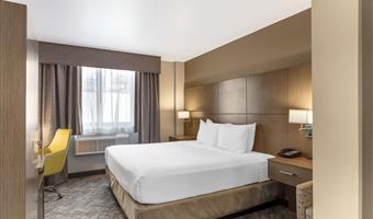 1 king bed, non-smoking, high speed internet access, refrigerator, full breakfast