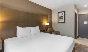 1 king bed, non-smoking, high speed internet access, refrigerator, full breakfast