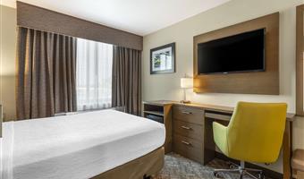 1 queen bed, non-smoking, high speed internet access, refrigerator, full breakfast