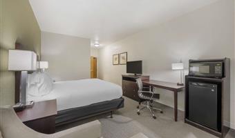 accessible - 1 king, mobility accessible, roll in shower, microwave and refrigerator, non-smoking, full breakfast