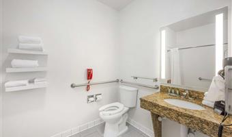 accessible - 1 king, mobility accessible, roll in shower, microwave and refrigerator, non-smoking, full breakfast