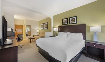 1 king bed, non-smoking, executive room, sofa, work desk, wi-fi, full breakfast