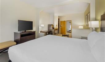 1 king bed, non-smoking, executive room, sofa, work desk, wi-fi, full breakfast