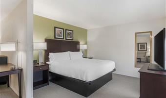 suite-1 king bed, non-smoking, work desk, sofa, microwave and refrigerator, wi-fi, full breakfast