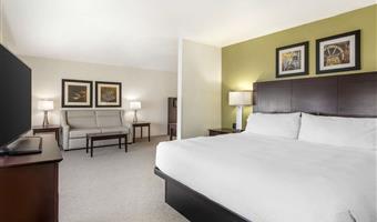 suite-1 king bed, non-smoking, work desk, sofa, microwave and refrigerator, wi-fi, full breakfast