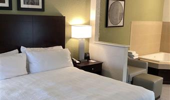 1 king bed, non-smoking, whirlpool, work desk, microwave and refrigerator, wi-fi, full breakfast