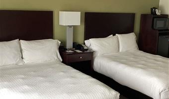 suite-2 double beds, non-smoking, work desk, sofa, microwave and refrigerator, wi-fi, full breakfast