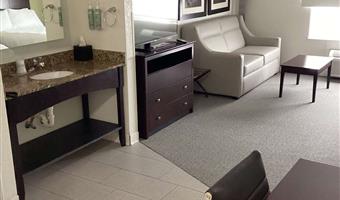 suite-2 double beds, non-smoking, work desk, sofa, microwave and refrigerator, wi-fi, full breakfast