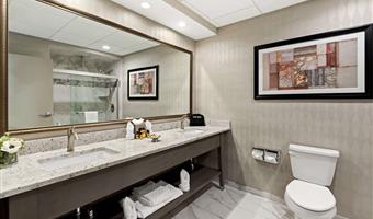 suite-1 king bed, non-smoking, living room, sofabed, full kitchen, private entrance, full breakfast