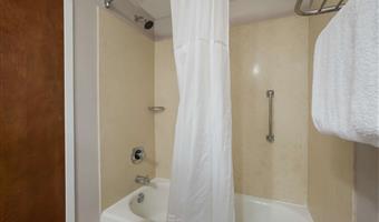 suite-1 king bed, non-smoking, high speed internet access, sofabed, microwave and refrigerator, hairdryer, full breakfast