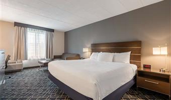 1 king bed, non-smoking, sofabed, whirlpool, refrigerator, high speed internet access, full breakfast