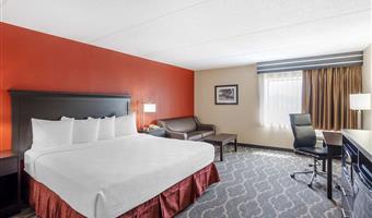 1 king bed, non-smoking, pet friendly room, sofabed, desk, microwave and refrigerator, wi-fi, full breakfast