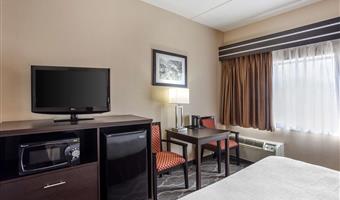 1 king bed, non-smoking, pet friendly room, sofabed, desk, microwave and refrigerator, wi-fi, full breakfast