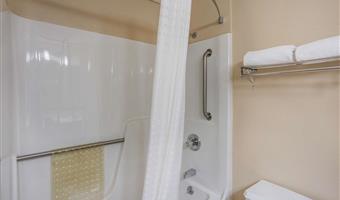 1 king bed, non-smoking, pet friendly room, sofabed, desk, microwave and refrigerator, wi-fi, full breakfast
