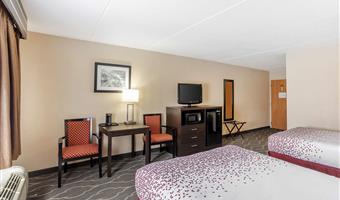 2 double beds, non-smoking, pet friendly room, microwave and refrigerator, wi-fi, full breakfast