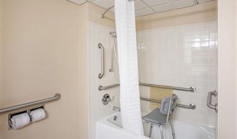 accessible - 2 double, mobility accessible, bathtub, pet friendly room, microwave and refrigerator, wi-fi, non-smoking, full breakfast