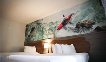 2 queen beds, non-smoking, theme room, work desk, microwave and refrigerator, walk in shower, coffee maker