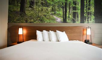 1 king bed, non-smoking, theme room, work desk, microwave and refrigerator, wi-fi, walk in shower